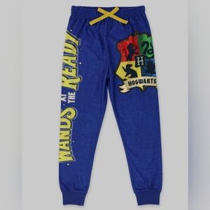 Harry Potter  Thermal Lounge Pants Dark Blue Sz XL 14/16